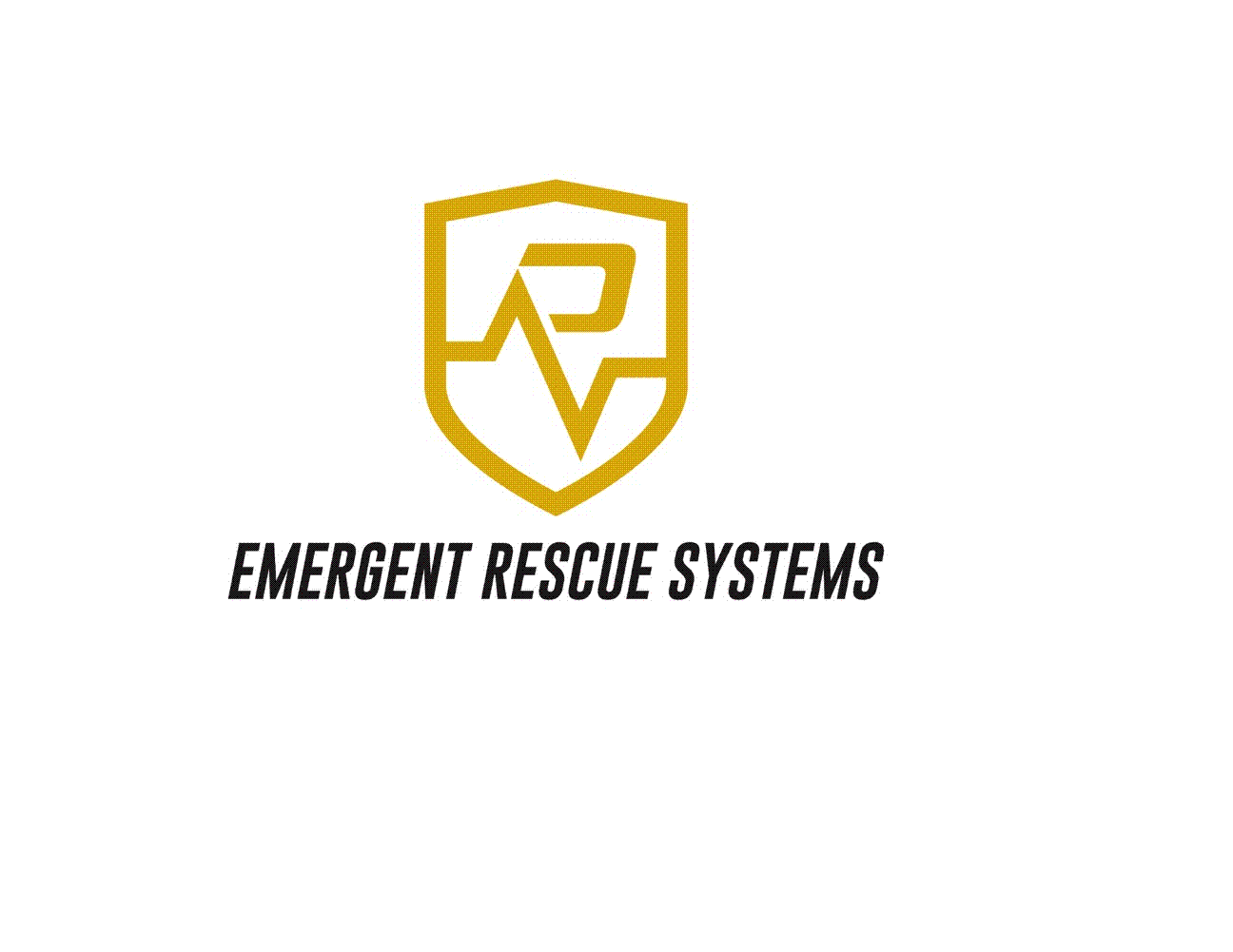 Emergent Rescue Systems